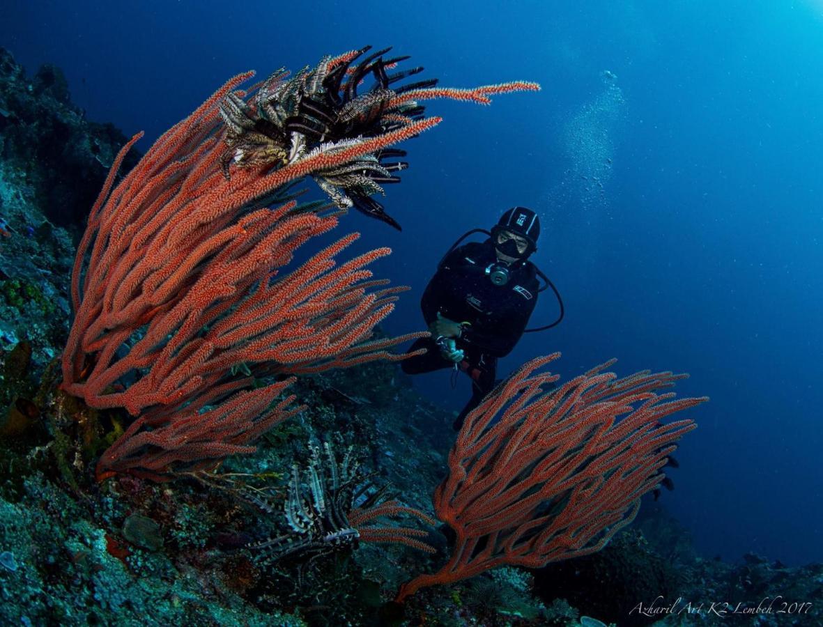 K2 Lembeh Dive Resort Bitung Eksteriør billede